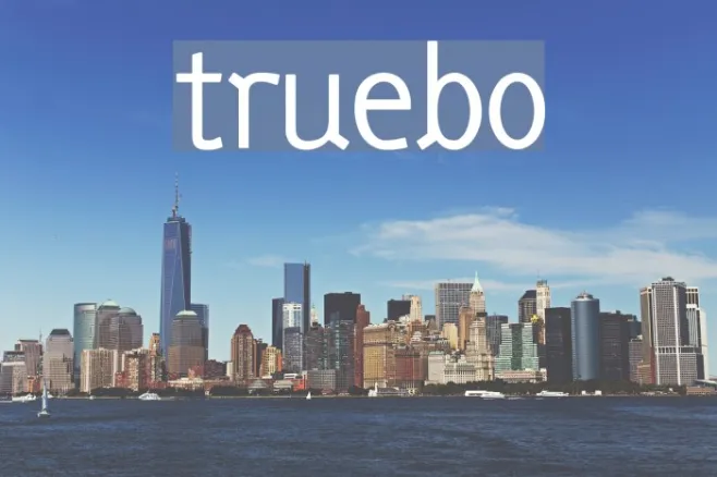 truebo Example 1