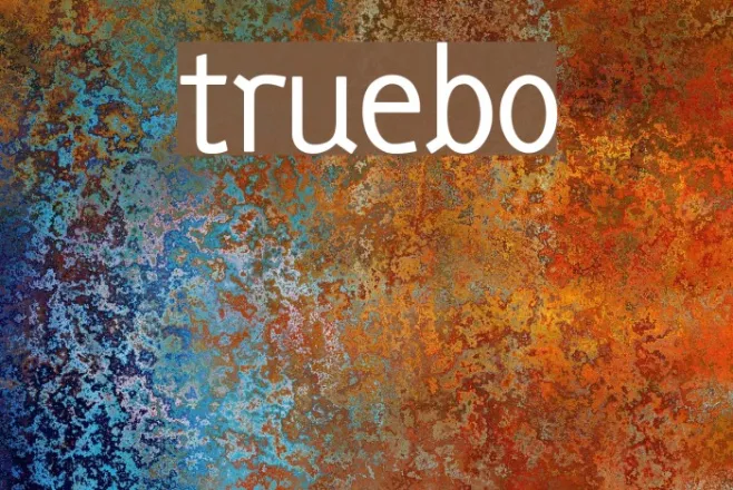 truebo Example 2