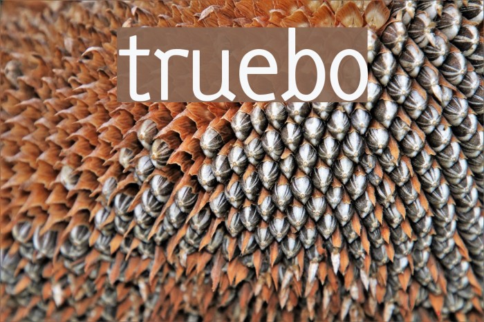 truebo Font examples