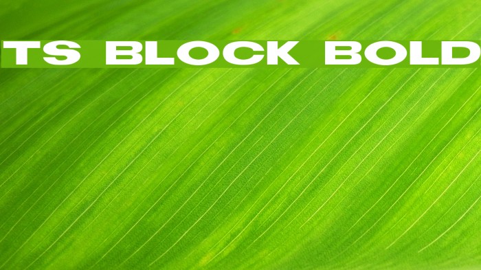 TS Block Bold Font examples