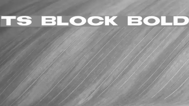 TS Block Bold フォント examples