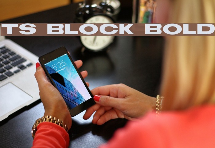 TS Block Bold Font examples
