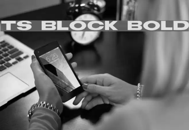 TS Block Bold フォント examples