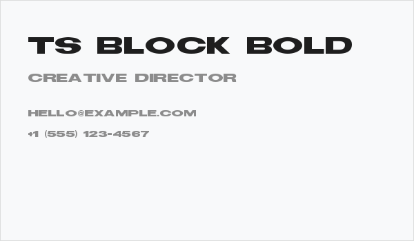 TS Block Bold Business Card
