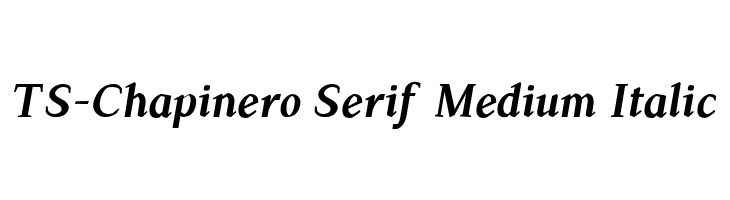 TS-Chapinero Serif Medium Italic  フリーフォントのダウンロード