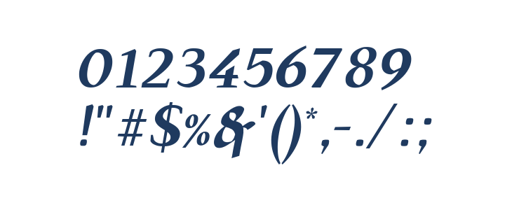 TS-Chapinero Serif Medium Italic Other Characters