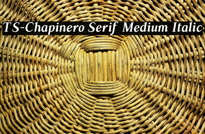 TS-Chapinero Serif Medium Italic Example 1