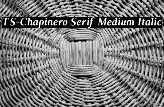 TS-Chapinero Serif Medium Italic Font examples