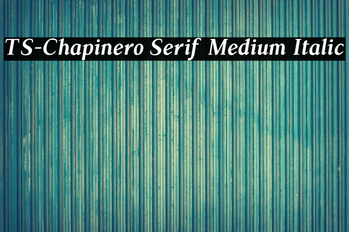 TS-Chapinero Serif Medium Italic Example 2
