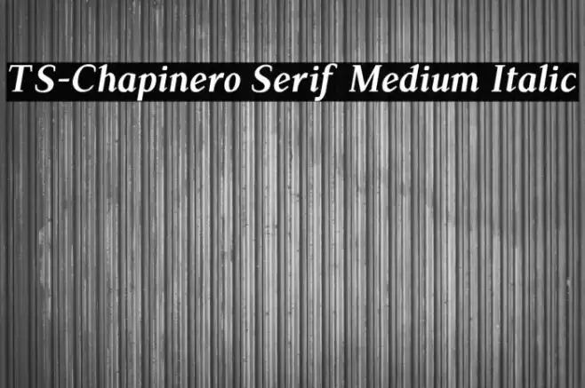 TS-Chapinero Serif Medium Italic Font examples