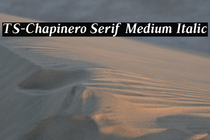 TS-Chapinero Serif Medium Italic Example 3