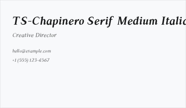 TS-Chapinero Serif Medium Italic Business Card