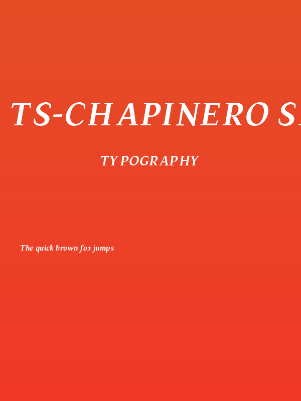 TS-Chapinero Serif Medium Italic Poster