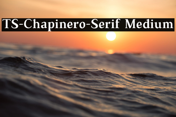 TS-Chapinero-Serif Medium Example 1