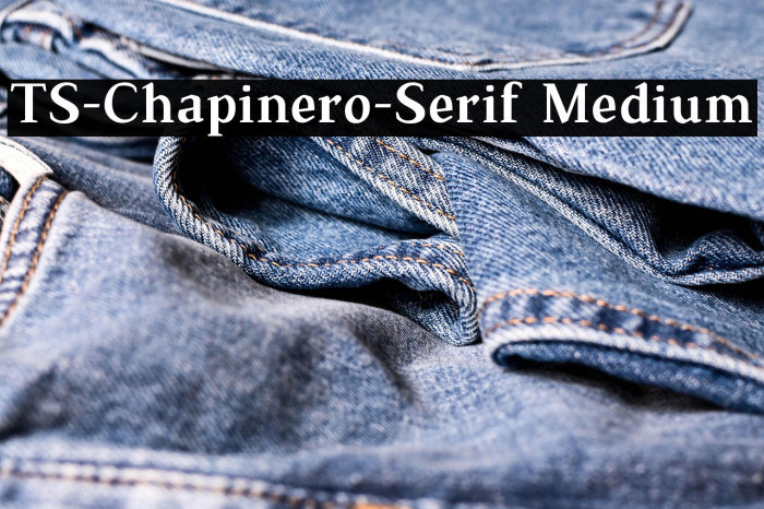 TS-Chapinero-Serif Medium Example 2
