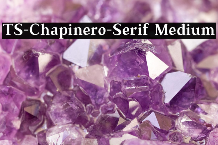 TS-Chapinero-Serif Medium Example 3
