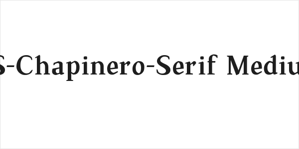 TS-Chapinero-Serif Medium Logo