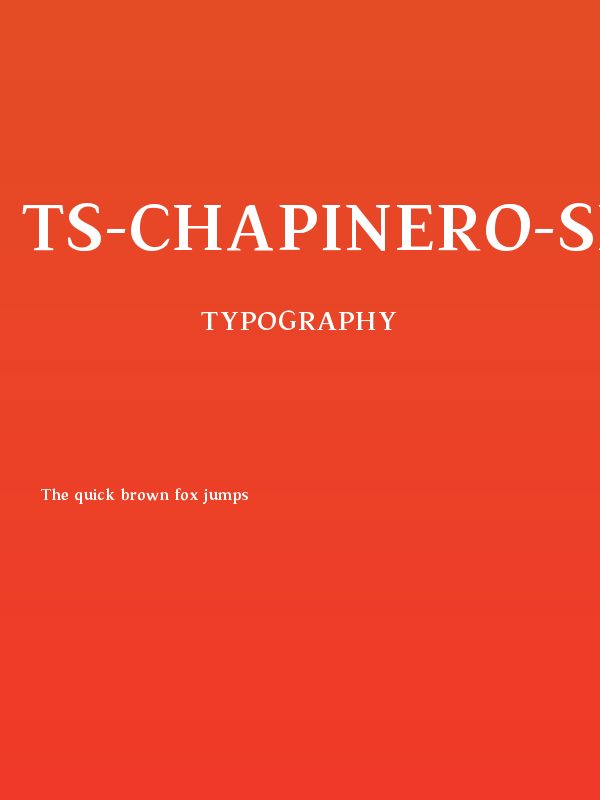 TS-Chapinero-Serif Medium Poster