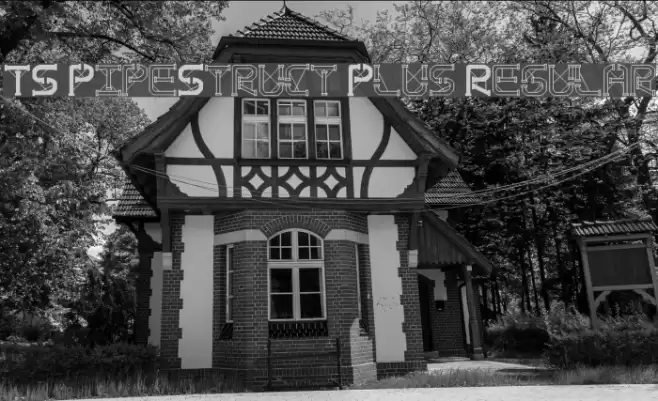 TS PipeStruct Plus Regular Font examples