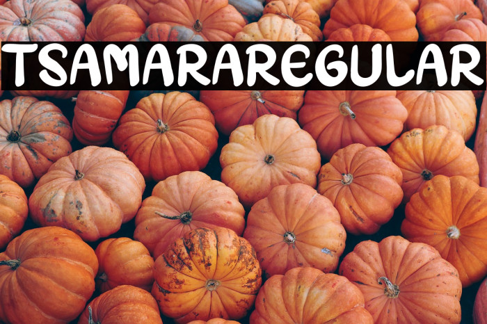 TSAMARARegular Example 1