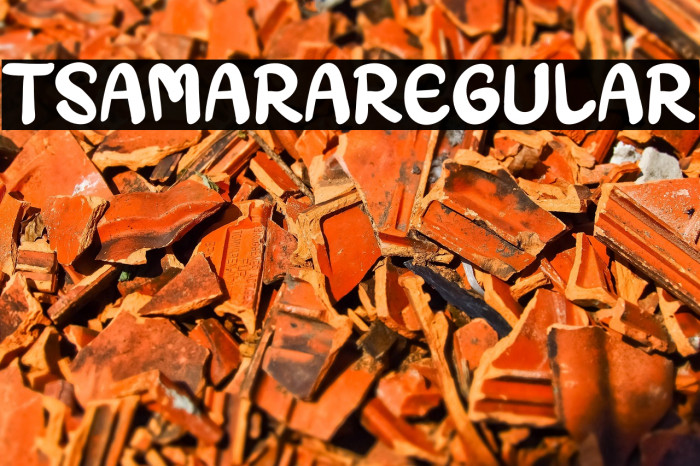 TSAMARARegular Example 2