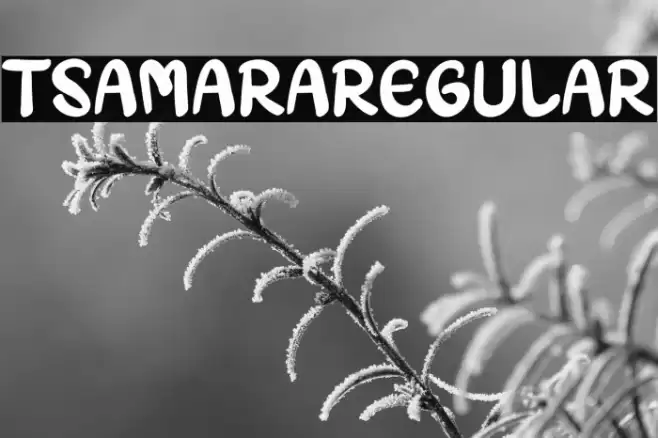 TSAMARARegular Font examples