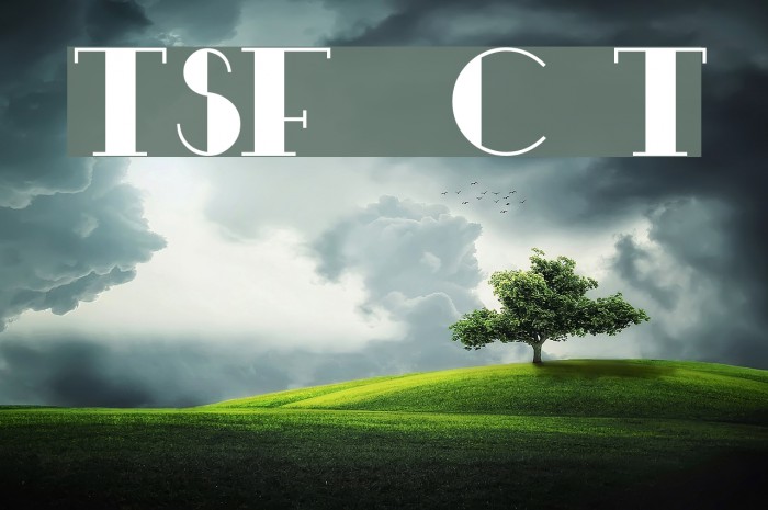 TSF et Compagnie Tryout Example 1