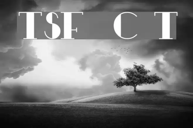 TSF et Compagnie Tryout Font examples