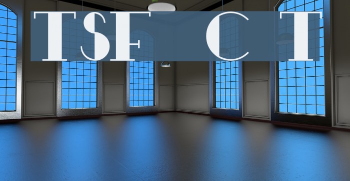 TSF et Compagnie Tryout Example 2