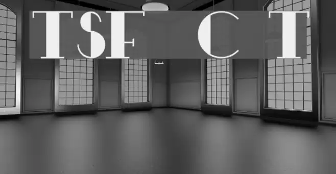 TSF et Compagnie Tryout Font examples