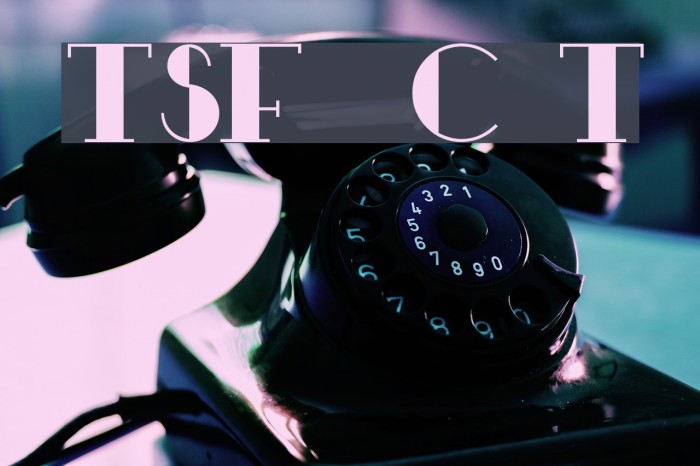 TSF et Compagnie Tryout Example 3