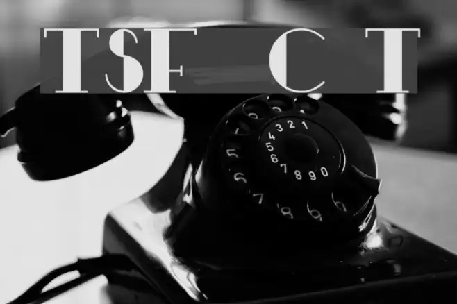 TSF et Compagnie Tryout Font examples