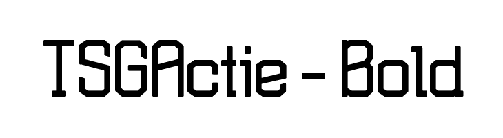 TSGActie-Bold Polices