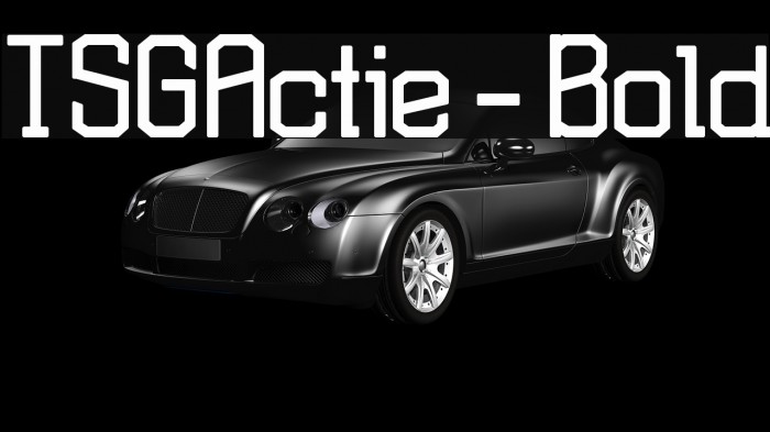 TSGActie-Bold Polices examples
