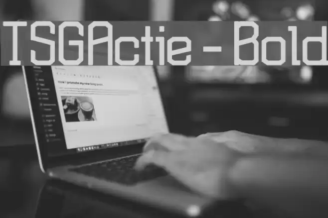 TSGActie-Bold Font examples