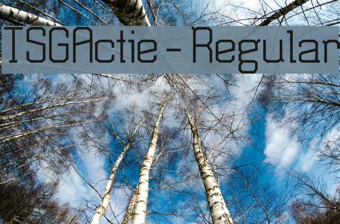 TSGActie-Regular Font examples