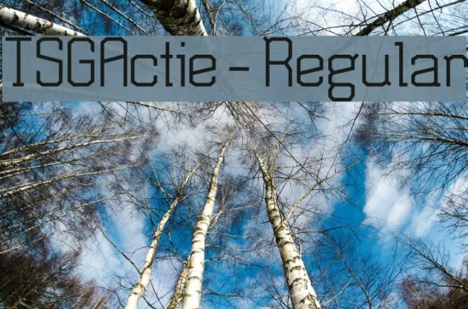 TSGActie-Regular Example 1
