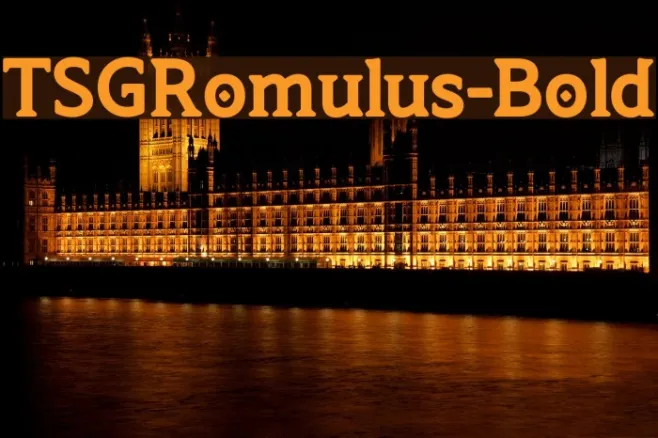 TSGRomulus-Bold Example 2