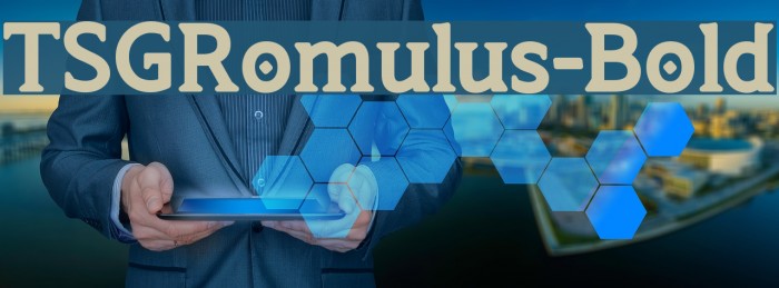 TSGRomulus-Bold Font examples
