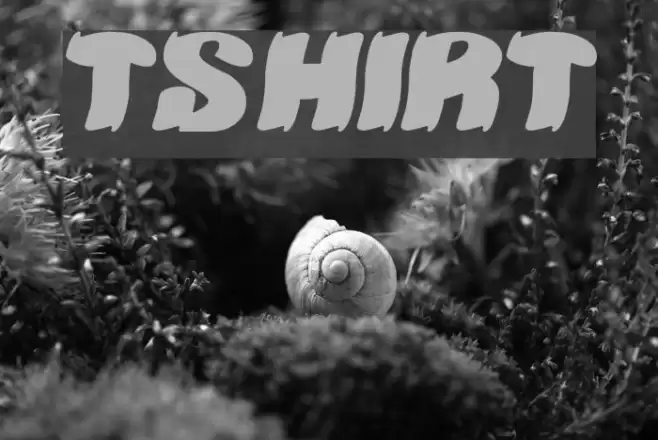 TSHIRT Font examples