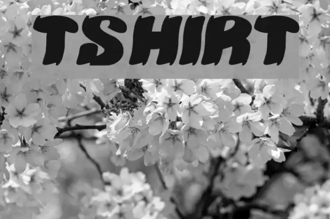 TSHIRT Font examples