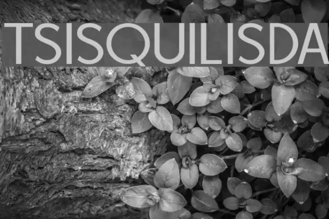 TSISQUILISDA Font examples