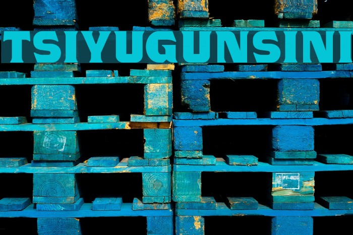 TSIYUGUNSINI Font examples