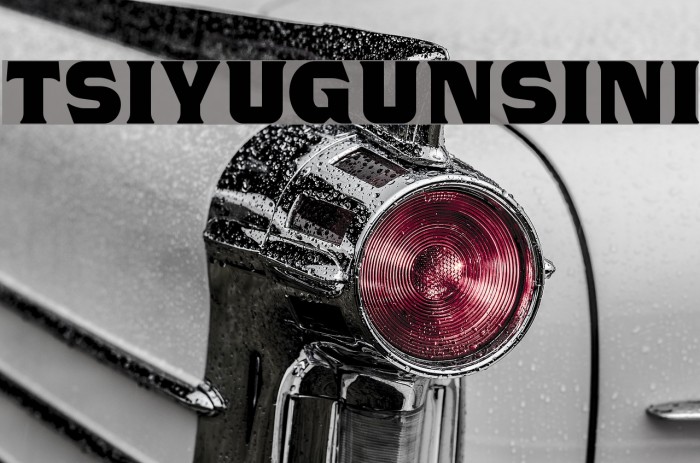 TSIYUGUNSINI Font examples