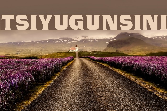TSIYUGUNSINI Font examples