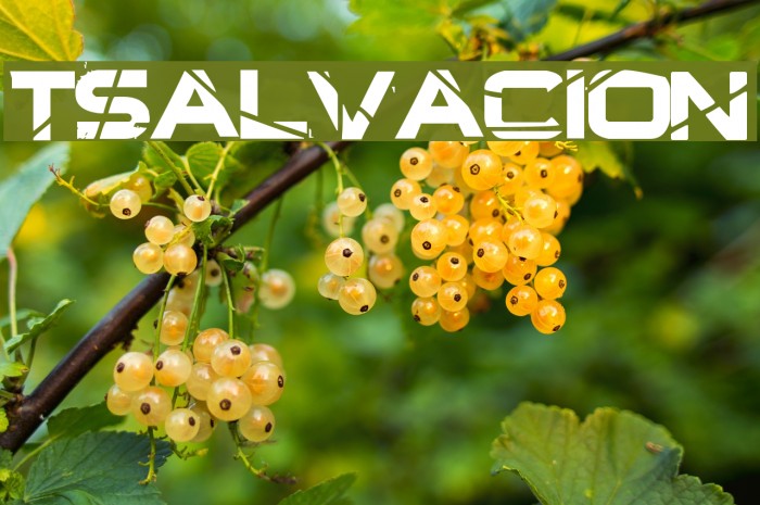 TSalvacion Font examples