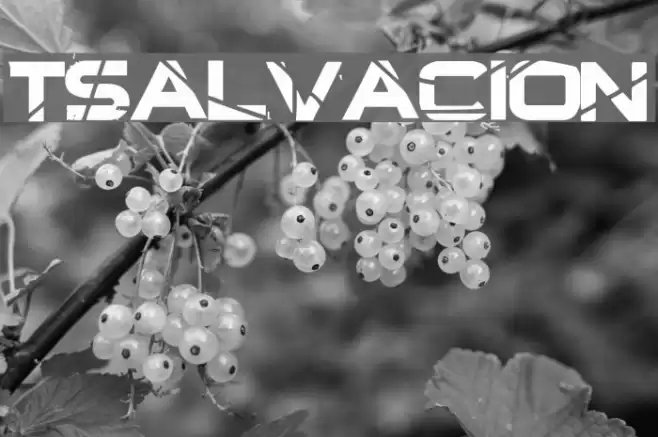 TSalvacion Polices examples