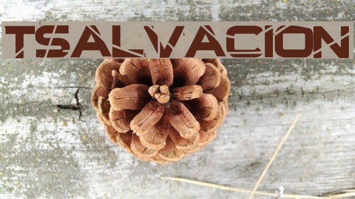 TSalvacion Font examples