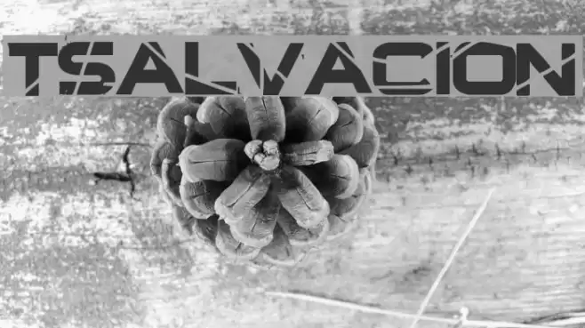 TSalvacion Polices examples