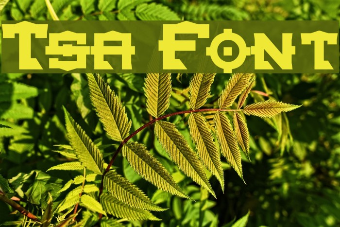 Tsa Font examples